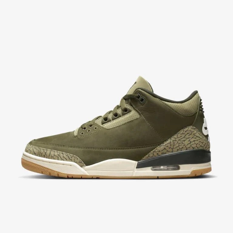 Air Jordan 3 retro family affair
