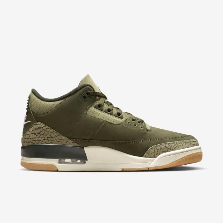 Air Jordan 3 retro family affair
