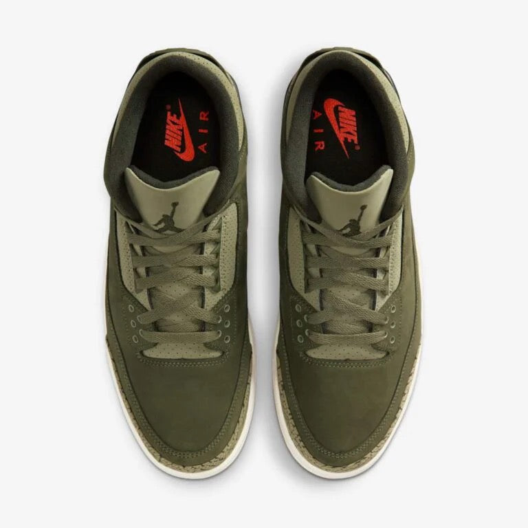 Air Jordan 3 retro family affair