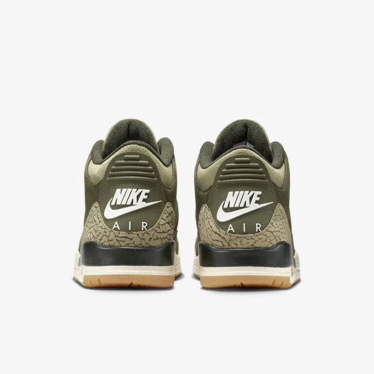 Air Jordan 3 retro family affair