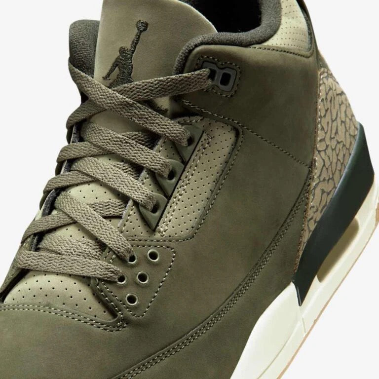 Air Jordan 3 retro family affair