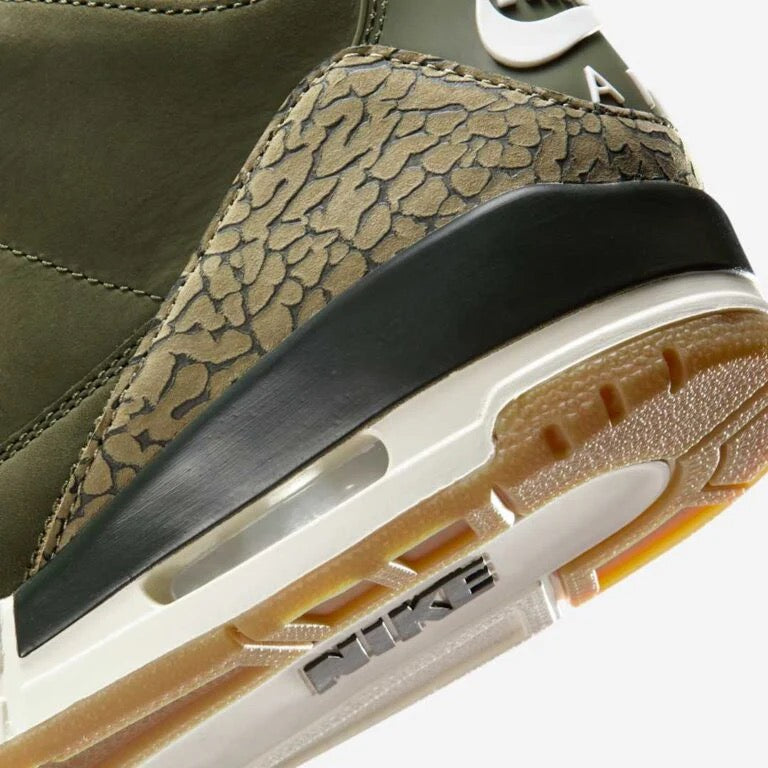 Air Jordan 3 retro family affair